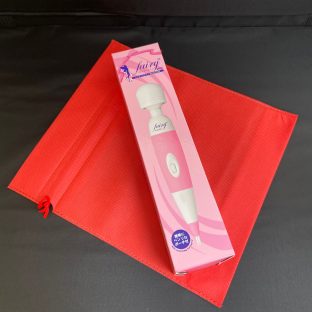 フェアリーミニ